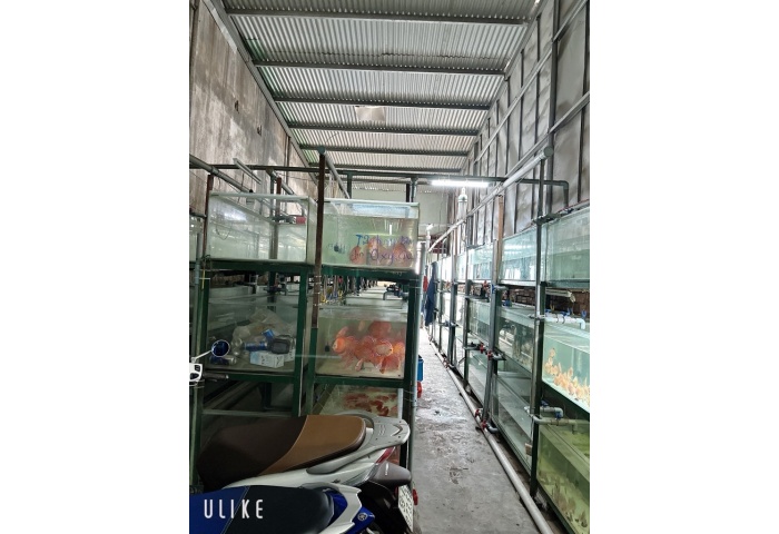 LÔ ĐẤT ĐẸP 120M2– FULL THỔ CƯ – 1 TRỤC LÊ ĐỨC THỌ – GIÁ CHỈ HƠN 70TR/M²
