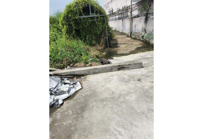 200M2, HẺM XE TẢI 6M KHU DÂN CƯ HIỆN HỮU - 1/ THẲNG TẮP RA VÕ VĂN BÍCH - SHR VUÔNG VỨC 
